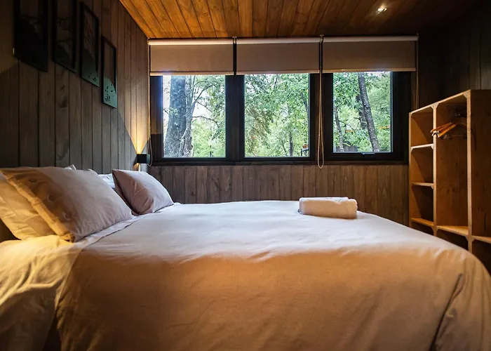 Roble Viejo Lodge